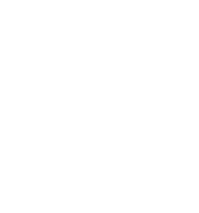 Major League Soccer Logo
